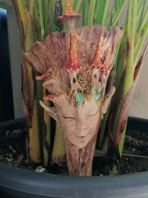 tête d'elfe des bois , réserve d'eau pour plante en pot